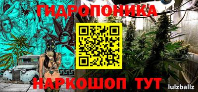 винт Канаш
